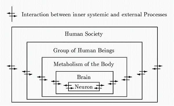 Interaction and growing complexity